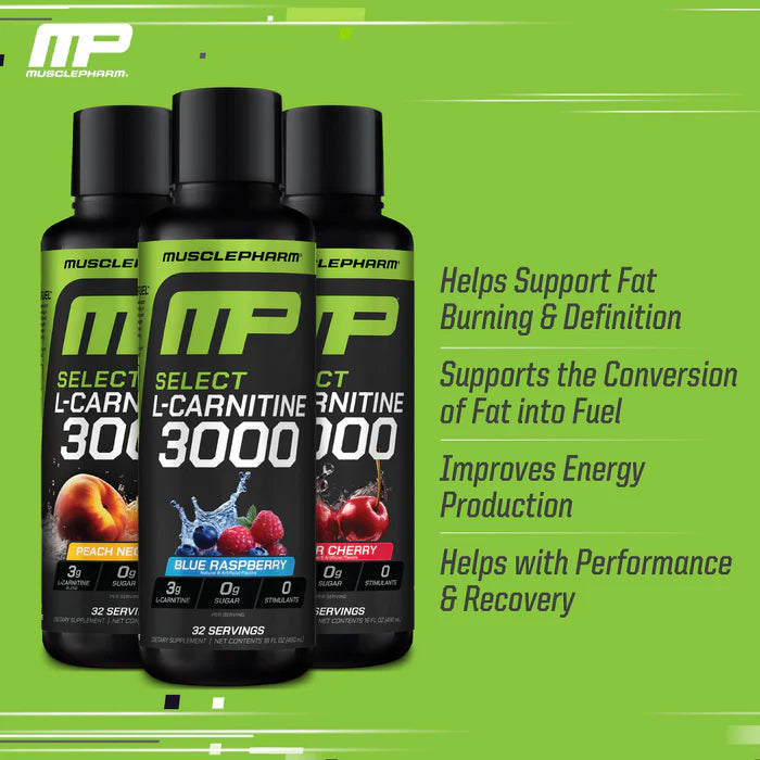 when to take musclepharm l carnitine L-Carnitine 3000 32 Serves MusclePharm Liquid L-Carnitine 3000 Sour