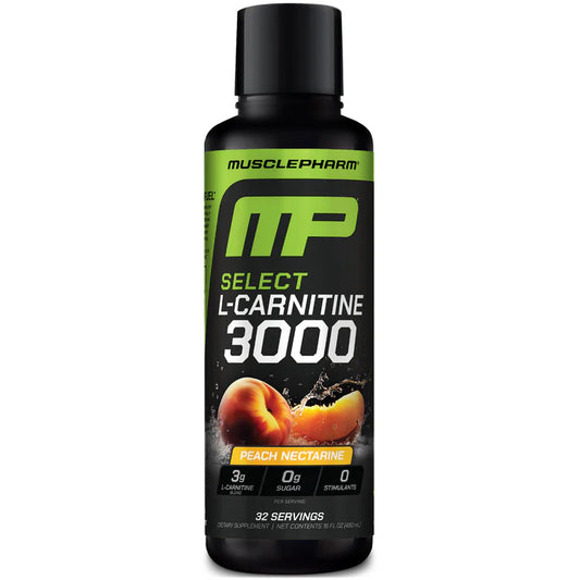 SELECT L-CARNITINE 3000